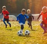 巅峰对决,解放者杯,状态悬殊如,pg游戏官网登录入口,PG电子最新官网,pg游戏官网登录入口,pg电子游戏app